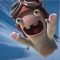 RayMan