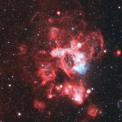 surya