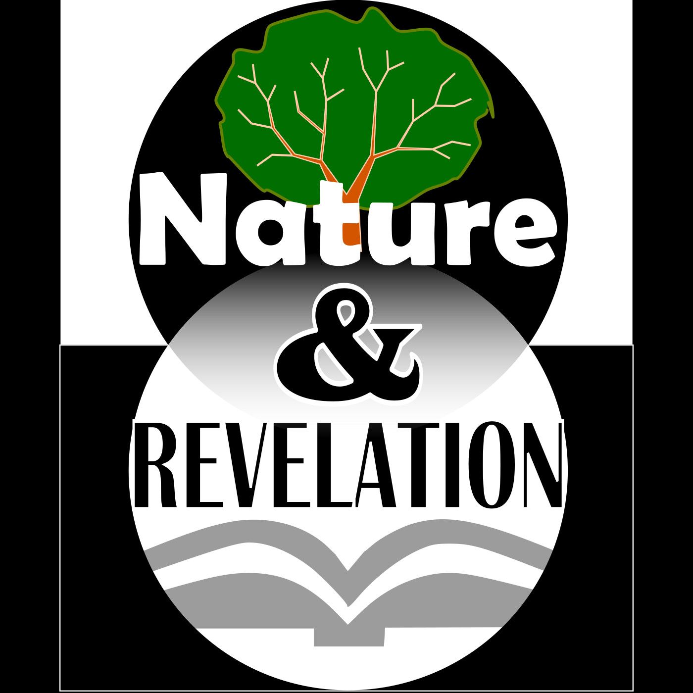 Nature and Revelation