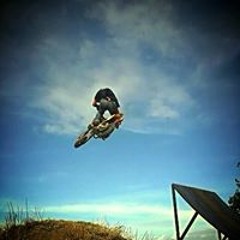 moustik