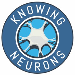 Knowing Neurons