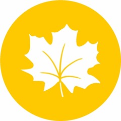 Yellow Maple