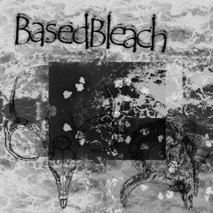 B a s e d - B l e a c h