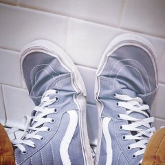 Sloths on Skateboards