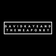 David Kaye and the Weaponry