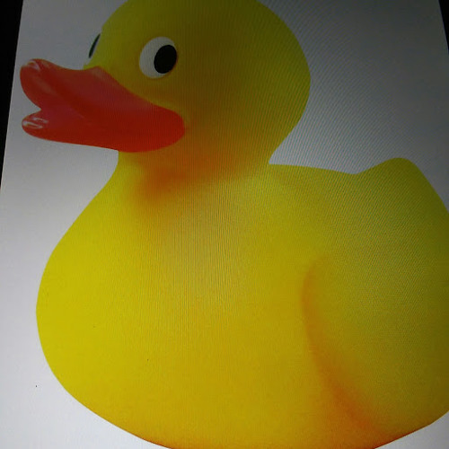 ducky 123