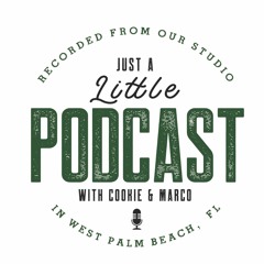 Just a Little Podcast