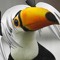 Toucan-Chan