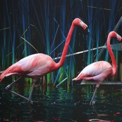 Po3ablu` FlamingoO!