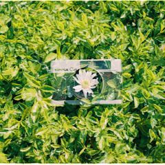 Chloe Nguyeex (Moon)