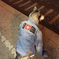 Voleurundercover