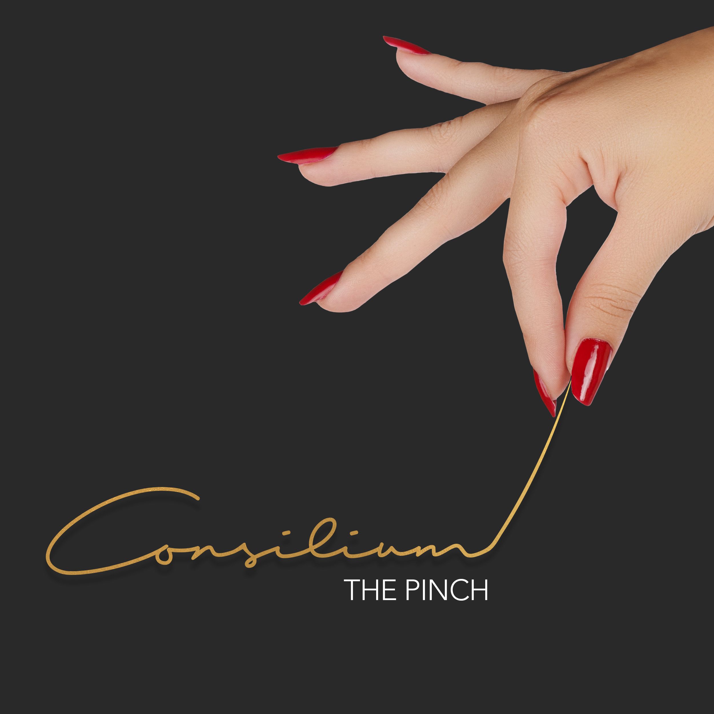The Pinch - Powered by Consilium Legal