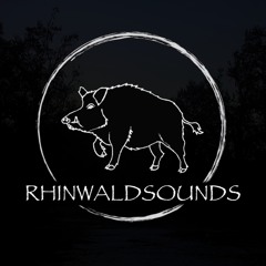 Rhinwaldsounds