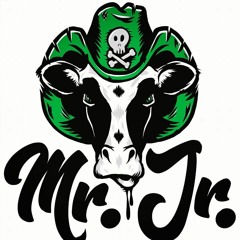Mr. Jr.