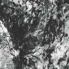 Gabriel Estebecorena