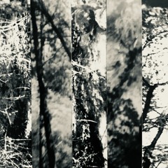 march of the void trolls