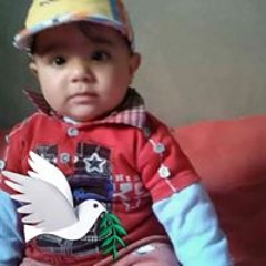 محمد الزناتي
