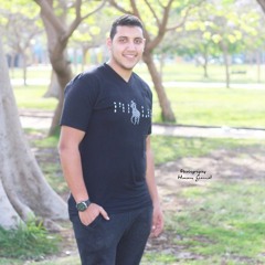 احمد البحيري