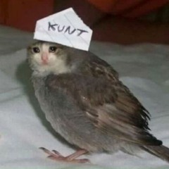 KAYA.