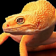 Malik Woodrow Campbell