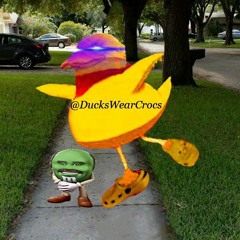 DucksWearCrocs