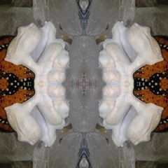 Frau_Symmetrie