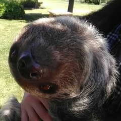 We Are Very Well Known!