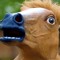 just a horse