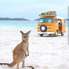 Travel Love