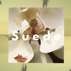 SUEDE COLLECTIVE