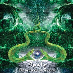 Saiko Pod Poa Pling Pong