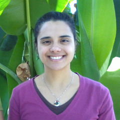 LiFern