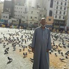 الحاج سعد