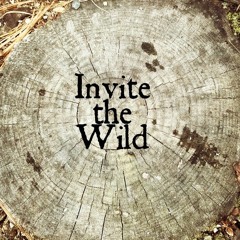 Invite The Wild
