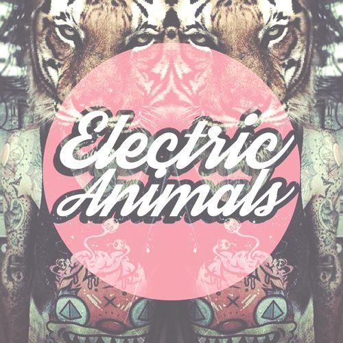 Stream Electric Animals music Listen to songs, albums, playlists for