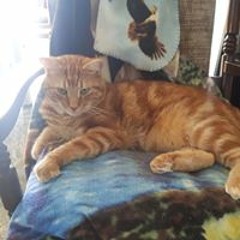 Daven Doyon-Dubreuil