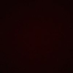 الدنيا فانيه