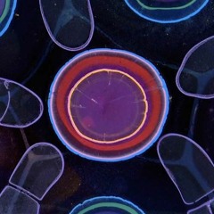 Cosmic Interplanetary Party