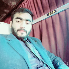 Husnain Mirza