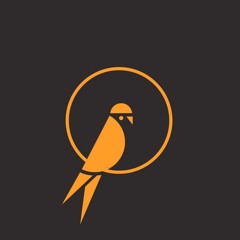 Night Parrot Agency