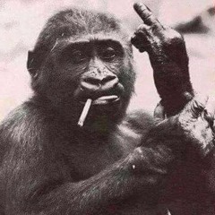 Венцислав Чавдаров