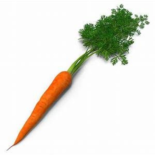 Stream 𝒞𝒶𝓇𝓇𝑜𝓉 𝑀𝓊𝓈𝒾𝒸 music Listen to songs, albums, playlists for free