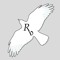 Ravenback Mashups