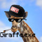 Try Hard Giraffe