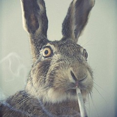 Copy of Bedtime Soul