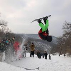 Várallyay György