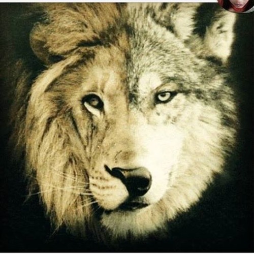 Blackawolf - Do Or DIE(Potential New Movie Soundtrack)