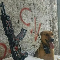 2t do amassa