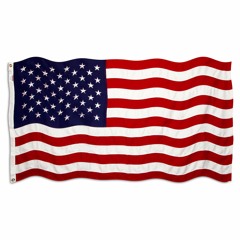 PatrioticMillennials