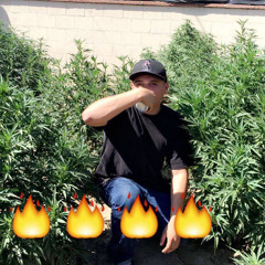 FUNKSTA.714